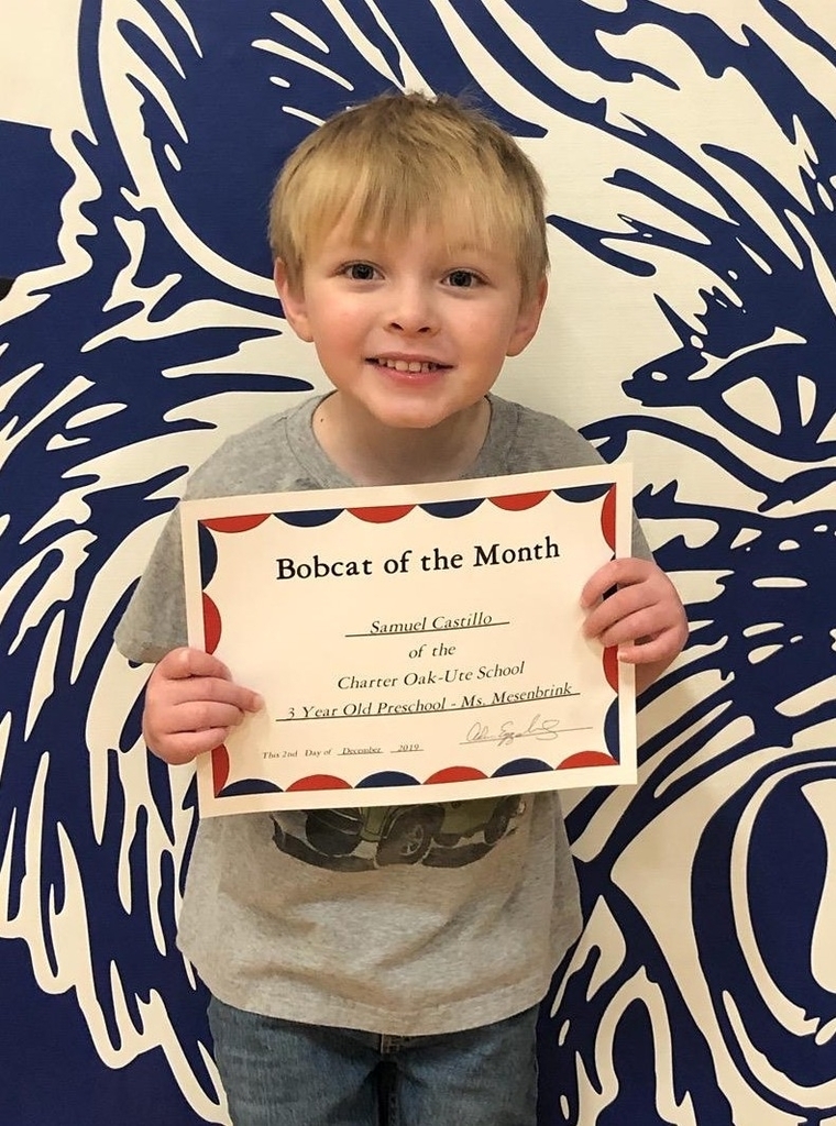 Bobcat of the Month